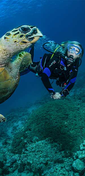 Scuba Diver underwater with a Turtle 