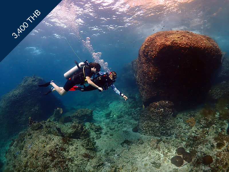 Try Dive Koh Phi Phi